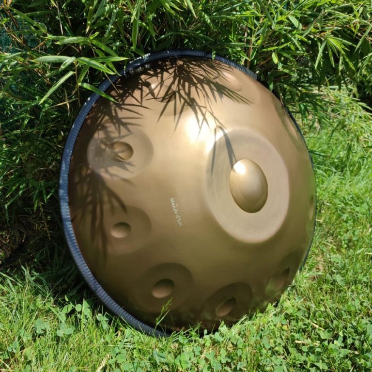 Handpan D Ashakiran 10 Notes