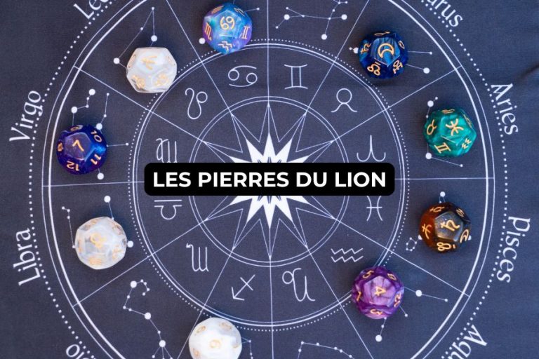 pierre du lion