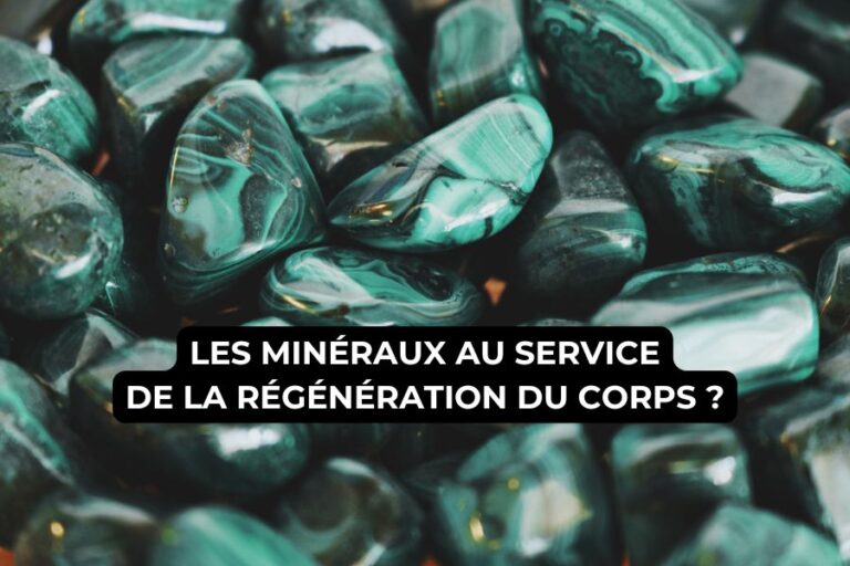 Minéraux et régénération cellules