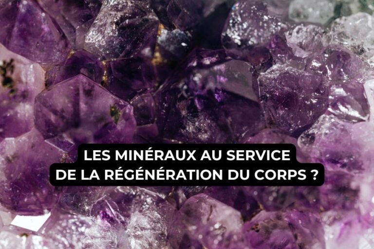 Minéraux et régénération cellules
